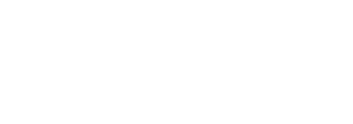 F+C Optic